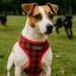 Parisian Pet 'Freedom Harness Scottish' for Dogs & Cats – Durable and Adjustable Pet Harness, Stylish Plaid Design, Red & Blue