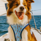 Parisian Pet 'Adjustable Sail Boat Pet Harness with Secure Fit' for Dogs & Cats – Blue