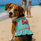 Parisian Pet 'Breathable Flamingo Pet Dress with Built-in Harness' for Dogs & Cats – Pink and Aqua
