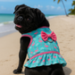 Parisian Pet 'Breathable Flamingo Pet Dress with Built-in Harness' for Dogs & Cats – Pink and Aqua