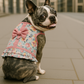 Parisian Pet 'Pink Polka Dot Harness Dress with Leash Ring' for Dogs & Cats – Pink