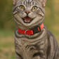 Parisian Pet 'Nylon Collar' for Dogs & Cats – High-Quality Red Nylon Collar -Valentine's Day