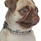 Parisian Pet 'Scottish Plaid' Collar, for Dogs & Cats, Adjustable Pet Collar, Stylish Plaid Dog Collar Khaki