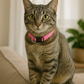 Parisian Pet 'Nylon Collar' for Dogs & Cats – Comfortable Pink Collar for Small Dogs, Adjustable Fit