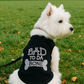 Parisian Pet 'Bad to da Bone' Dog Shirt – Trendy Slogan T-Shirt for Dogs & Cats, Black