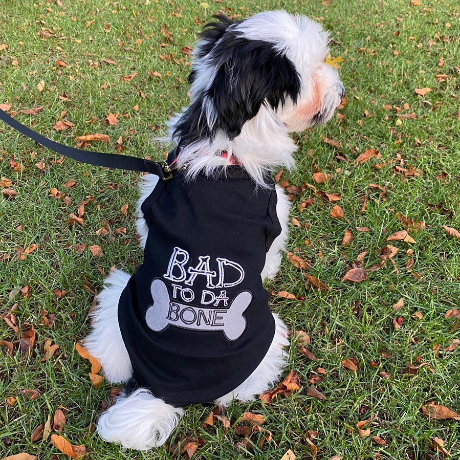 Parisian Pet 'Bad to da Bone' Dog Shirt – Trendy Slogan T-Shirt for Dogs & Cats, Black