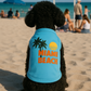 Parisian Pet 'Miami Beach' Dog & Cat Shirt – Funny Embroidered Vacation Dog T-Shirt, Stylish & Comfortable – Light Blue