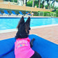 Parisian Pet 'Miami Poochie' Dog & Cat Shirt – Trendy Embroidered Vacation Dog T-Shirt, Comfortable & Machine Washable – Pink
