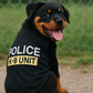 Parisian Pet 'Police' K-9 Unit Dog Outfit – Comfortable Uniform for Small Dogs & Cats, Black