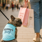 Parisian Pet 'Mommy's Boy' Cotton Dog Apparel – Comfortable T-Shirt for Small Dogs and Cats, Light Blue-Valentine's Day