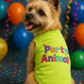 Parisian Pet 'Party Animal' Dog & Cat Shirt – Stylish Cotton T-Shirt, Embroidered Design, Machine Washable Pet Clothing – Light Green