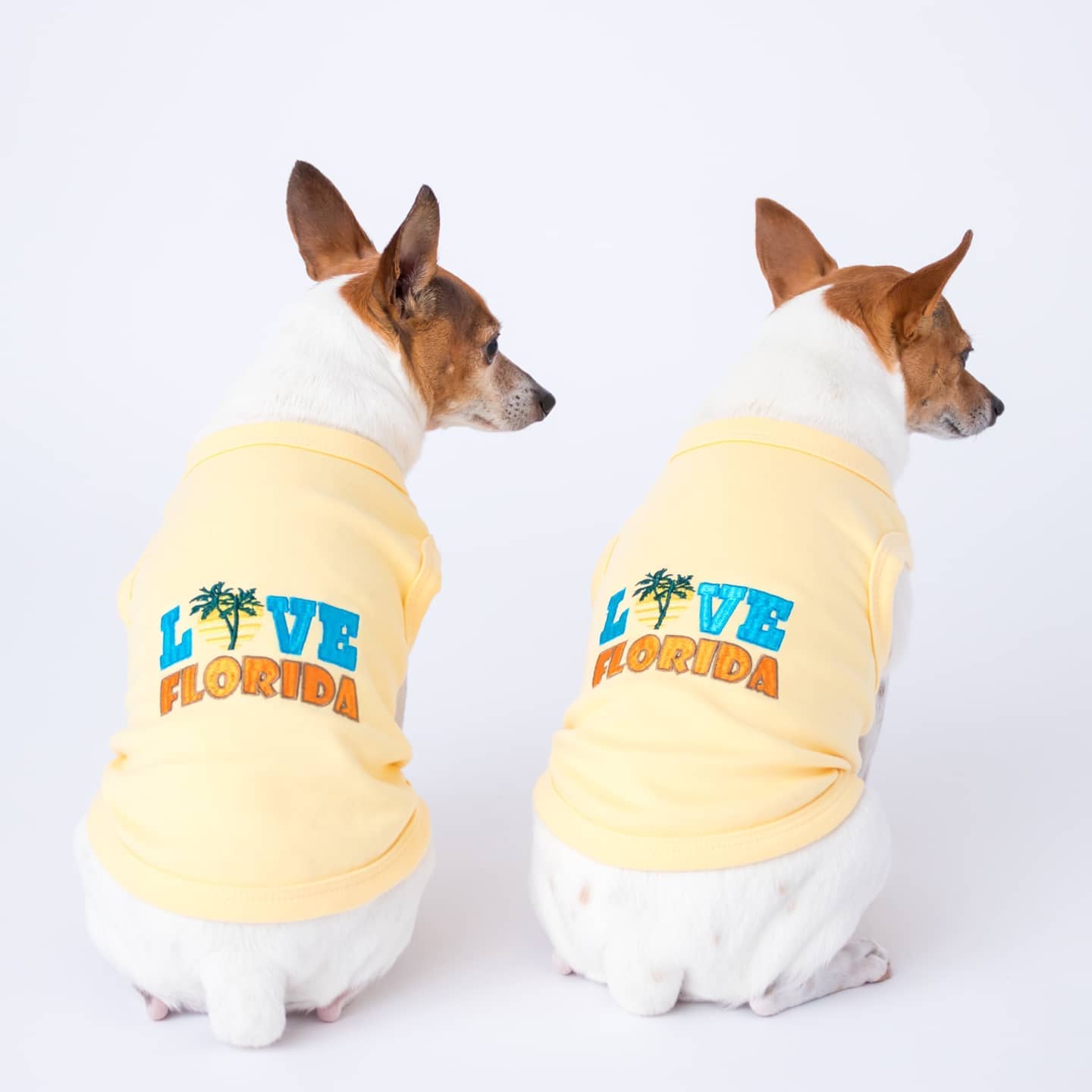 Parisian Pet 'Love Florida' Pet Apparel – Trendy Florida Pride Dog Shirt for Small Dogs & Cats, Yellow