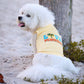 Parisian Pet 'Love Florida' Pet Apparel – Trendy Florida Pride Dog Shirt for Small Dogs & Cats, Yellow