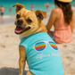 Parisian Pet 'Life's a Beach' Summer Dog T-Shirt – Comfortable Beach-Themed Pet Clothing for Dogs & Cats, Light Blue
