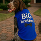 Parisian Pet 'Big Brother' Embroidered Pet T-Shirt – Cute Sibling Announcement Dog Shirt for Dogs & Cats, Blue