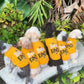 Parisian Pet 'Bee Kind' Embroidered Dog Shirt - Trendy Pet Apparel, Yellow