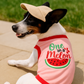 Parisian Pet 'One in a Melon' Dog Shirt – Fun Summer Pet T-Shirt for Dogs & Cats, Pink