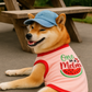 Parisian Pet 'One in a Melon' Dog Shirt – Fun Summer Pet T-Shirt for Dogs & Cats, Pink