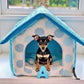 Parisian Pet 'Cotton Candy House' (S) for Dogs & Cats - Soft, Cozy, Durable, Washable Blue Pet House for Small Pets