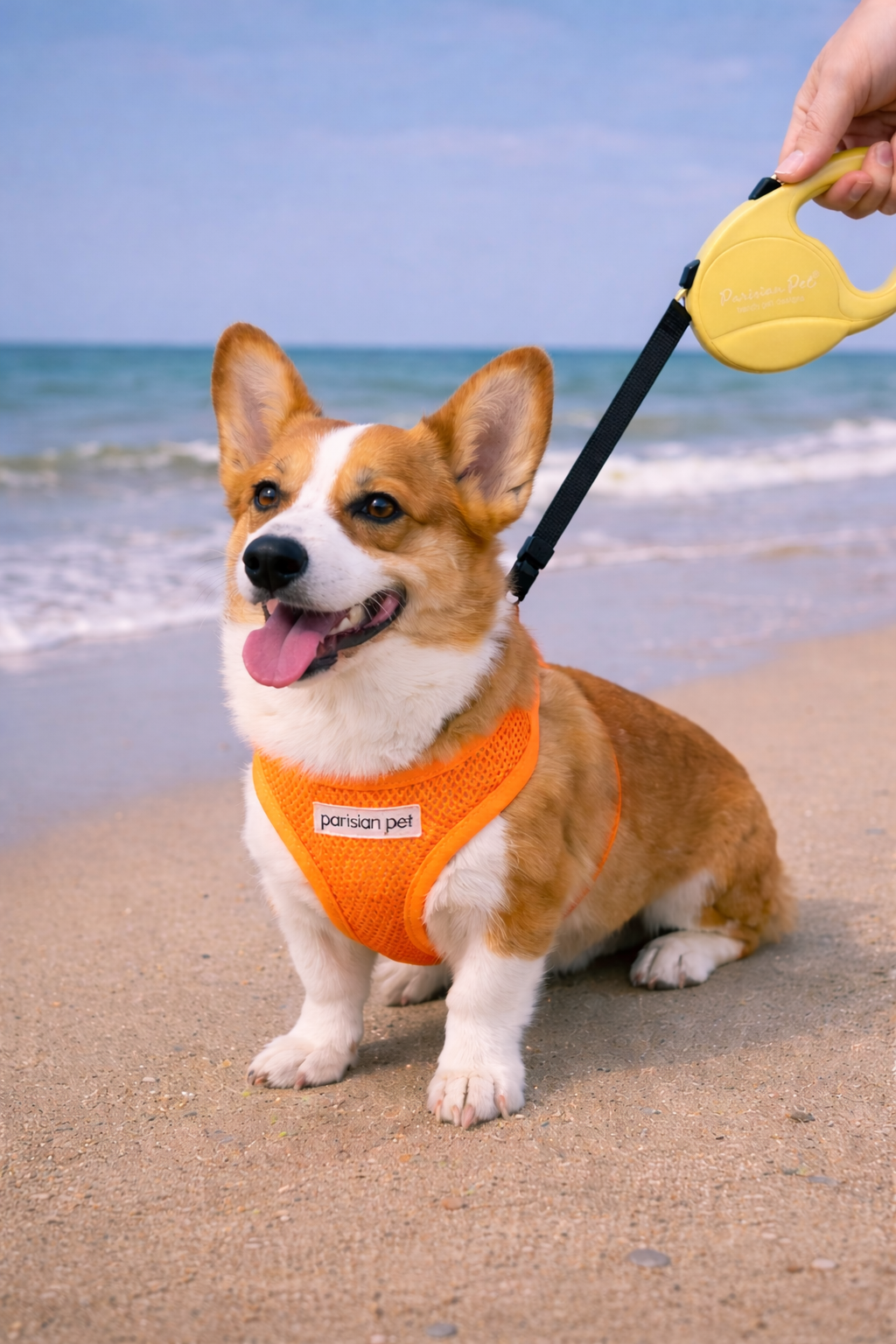 Parisian Pet 'Retractable Leash M' for Dogs & Cats – 16-Foot Durable Leash for Dogs Up to 44 lbs, Yellow