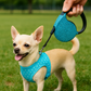 Parisian Pet 'Crystal Retractable Leash Blue' for Dogs & Cats – Durable Retractable Pet Leash with Comfortable Grip