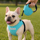 Parisian Pet 'Crystal Retractable Leash Blue' for Dogs & Cats – Durable Retractable Pet Leash with Comfortable Grip