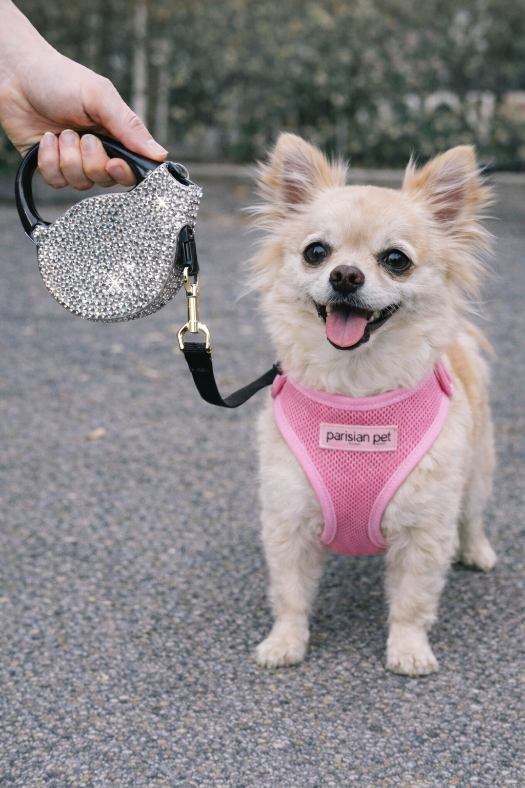 Parisian Pet 'Crystal Retractable Leash Silver' for Dogs & Cats – Durable, Stylish 16-Foot Leash with Comfortable Grip