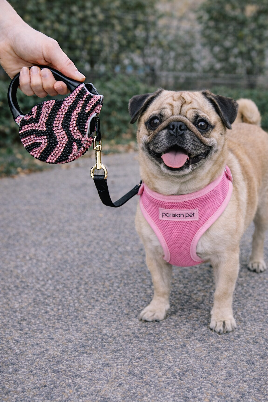 Parisian Pet 'Crystal Retractable Leash Zebra Pink' for Dogs & Cats – 16-Foot Retractable Leash with Zebra Print