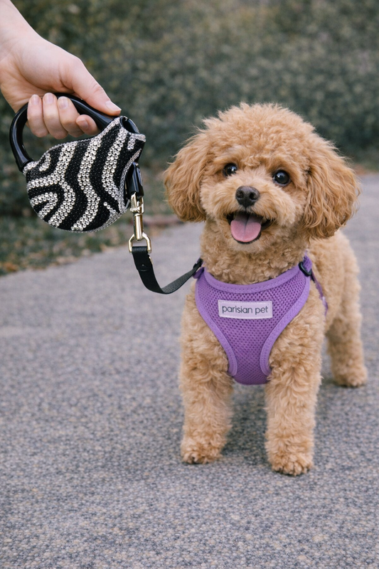 Parisian Pet 'Crystal Retractable Leash Zebra Silver' for Dogs & Cats – Durable, High-Quality Silver Pet Leash with Ergonomic Handle