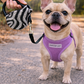 Parisian Pet 'Crystal Retractable Leash Zebra Silver' for Dogs & Cats – Durable, High-Quality Silver Pet Leash with Ergonomic Handle