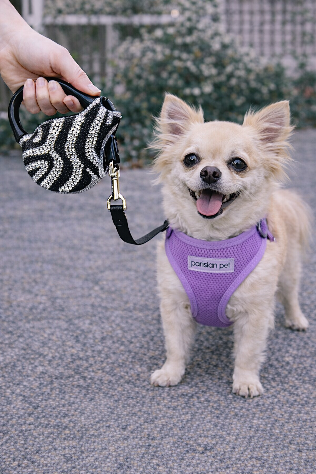 Parisian Pet 'Crystal Retractable Leash Zebra Silver' for Dogs & Cats – Durable, High-Quality Silver Pet Leash with Ergonomic Handle