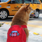 Parisian Pet 'Route 66 Jumpsuit' for Dogs and Cats, Fashionable Pet Jumpsuit for Parties, Red