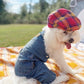 Parisian Pet 'Denim Overalls' – Durable and Trendy Pet Overalls for Dogs & Cats-Blue