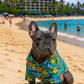 Parisian Pet 'Hawaiian Camp' Dog & Cat Shirt – Lightweight Cotton, Stylish Vacation Pet Apparel – Blue