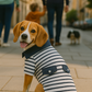 Parisian Pet 'Preppy Boy Polo' Dog & Cat T-Shirt – Trendy Cotton Polo Shirt, Comfortable & Lightweight, Blue White Stripes-Valentine's Day