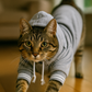 Parisian Pet 'Blessed Hoodie' in Gray - Trendy Pet Hoodie for Dogs & Cats, Perfect for Fall & Winter