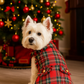 Parisian Pet 'Tartan Fringe Dress' Dog & Cat Shirt – Elegant Holiday Dog Dress – Red-Valentine's Day