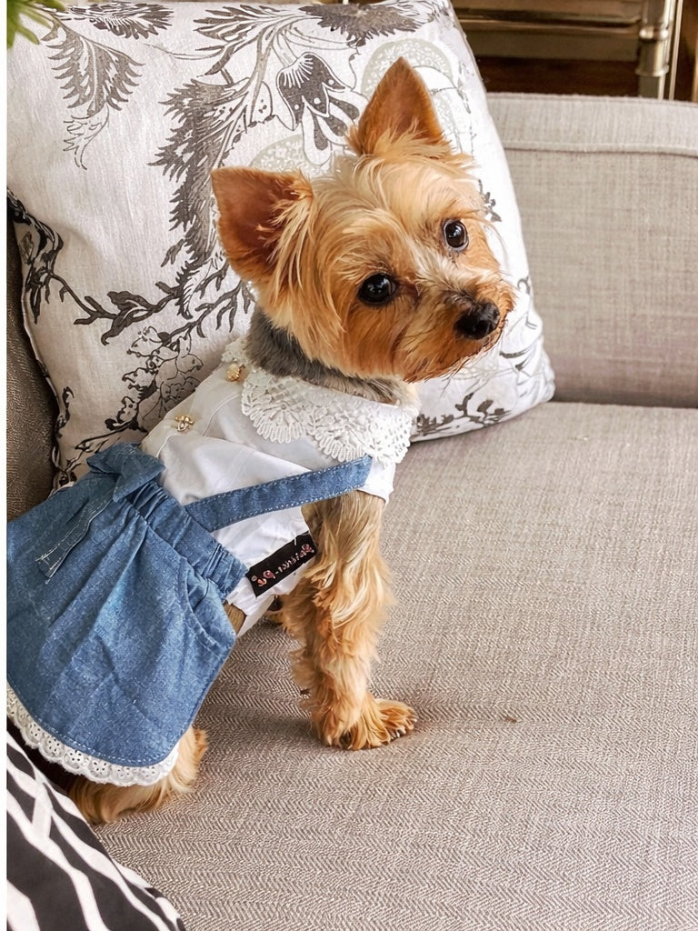 Parisian Pet 'Chambray Overall Dress' for Dogs and Cats, Designer Denim, Lightweight Summer Outfit, Blue