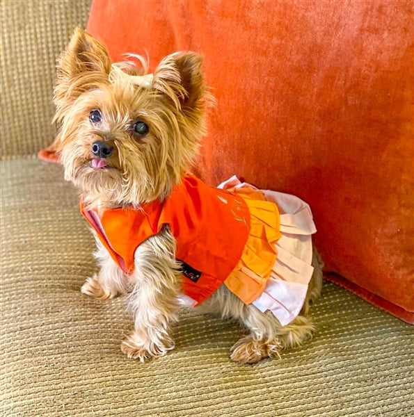 Parisian Pet - Dog Color Block Garden Dress 3XL Parisian Pet - Dog Color Block Garden Dress 3XL