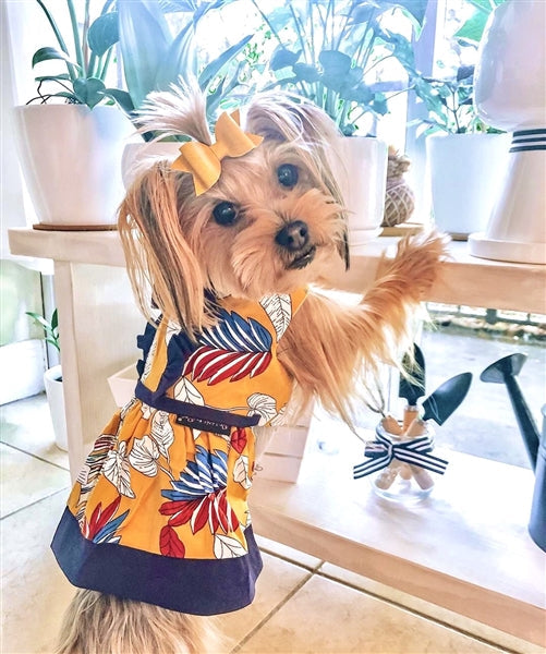 designer dog dresses Parisian Pet Tribal Leaves Dog Dress