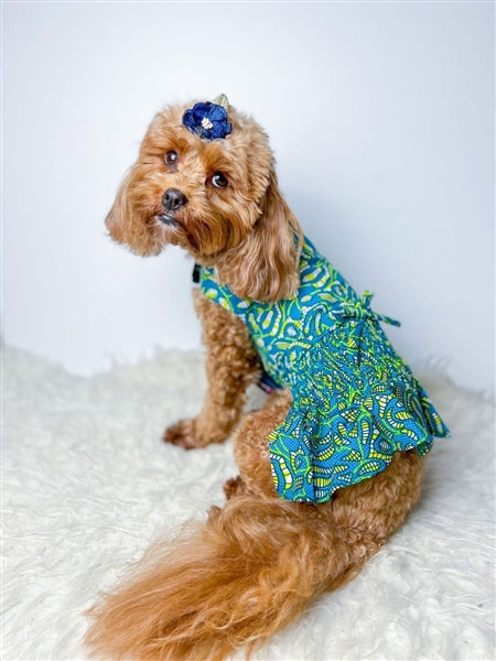 Parisian Pet 'Tribal Dress' for Dogs and Cats, Ruched Waist, Stylish and Comfortable, Tribal Print - Green, Blue, Yellow XL Parisian Pet 'Tribal Dress' for Dogs and Cats, Ruched Waist, Stylish and Comfortable, Tribal Print - Green, Blue, Yellow XL