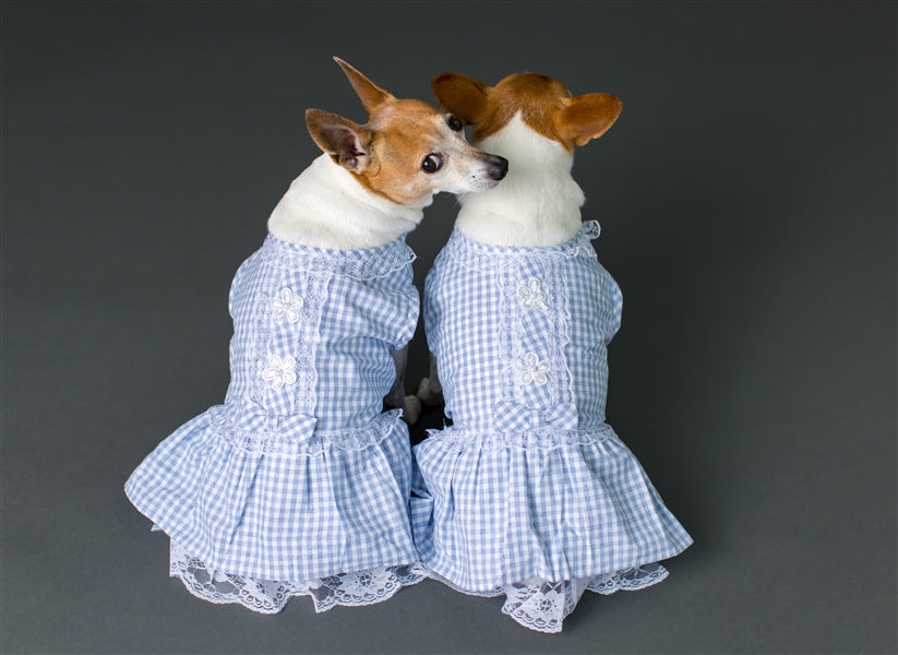 Parisian Pet Gingham Countryside Lace Dog Dress - Blue Parisian Pet Gingham Countryside Lace Dog Dress - Blue