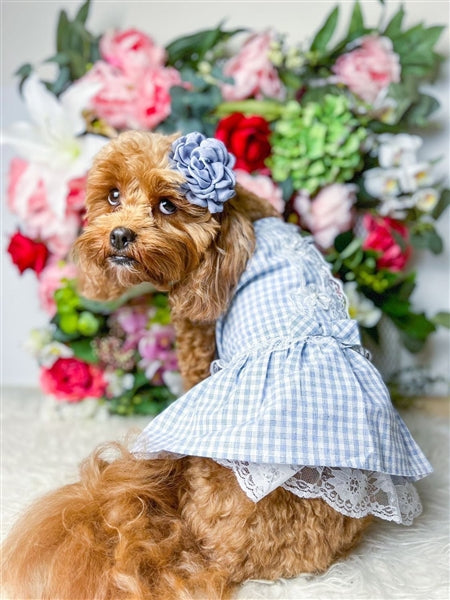 Parisian Pet Gingham Countryside Lace Dog Dress - Blue - Large Parisian Pet Gingham Countryside Lace Dog Dress - Blue - Large