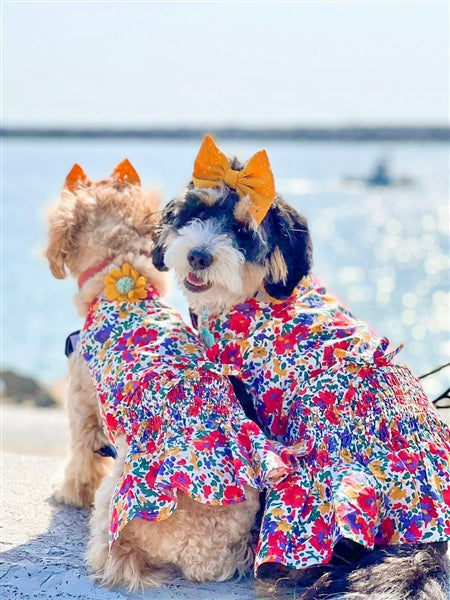 designer dog dresses Polka Dot Dress - Black and White Handmade sateen and organza roses adorned with Swarovski Sewn crystals decorate the bouffant skirt worn proudly by the cutest bride youve ever seen Doggy Wears Pawda Designer Inspired