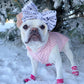 Parisian Pet 'Polka Dot Jacket' for Dogs & Cats, Designer Pet Outerwear, Holiday Pet Jacket, Pink with Black Dots-Valentine's Day
