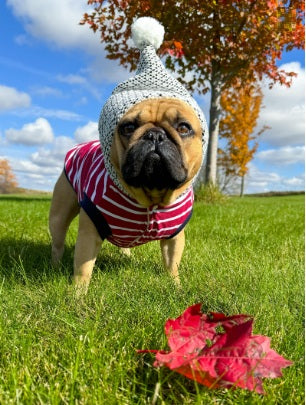 Parisian Pet 'Striped Pom Pom Hoodie', Red – Soft & Fashionable Pet Hoodie with Playful Pom Pom Design