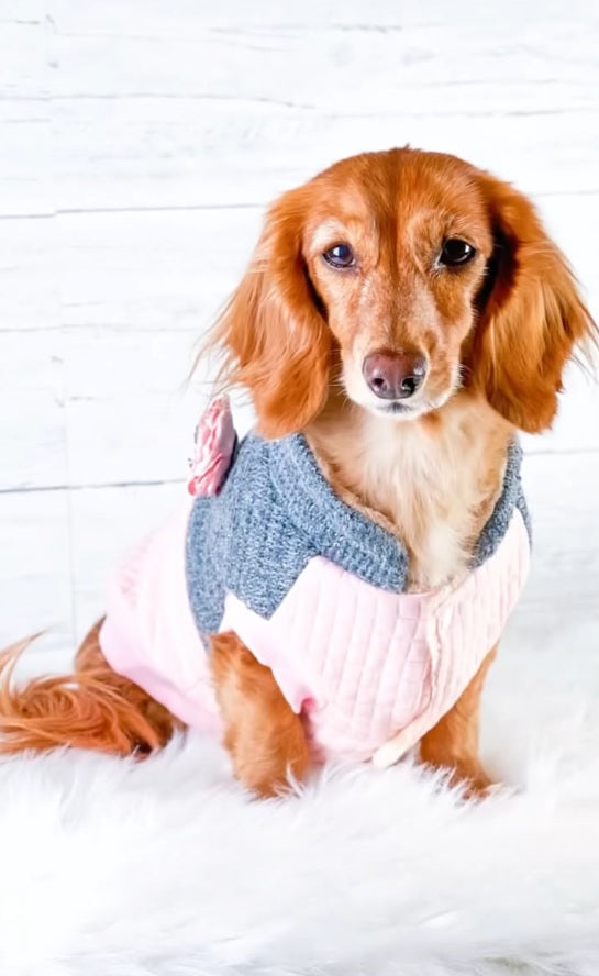 Parisian Pet 'Fancy Flower Quilted Jacket' for Dogs & Cats, Warm Pet Outerwear, Quilted Floral Dog Jacket - Valentine's Day