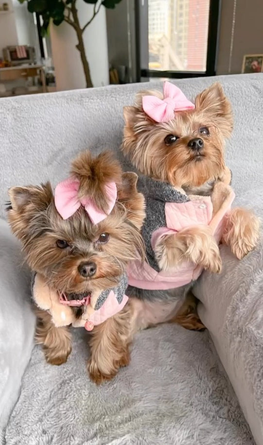 Parisian Pet 'Fancy Flower Quilted Jacket' for Dogs & Cats, Warm Pet Outerwear, Quilted Floral Dog Jacket - Valentine's Day