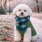 Parisian Pet 'Cable Knit Sweater' - Warm & Stylish Pet Sweater in Green for Dogs & Cats