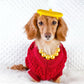 Parisian Pet 'Cable Knit Sweater' - Warm & Stylish Pet Sweater in Red for Dogs & Cats-Valentine's Day